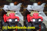/home//u458753944/public_html/sourcegallery//////McKaig Nature Center/2020-10-11/PA110740 two.JPG